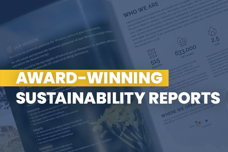 EnerCom can help you create award-winning sustainability report.